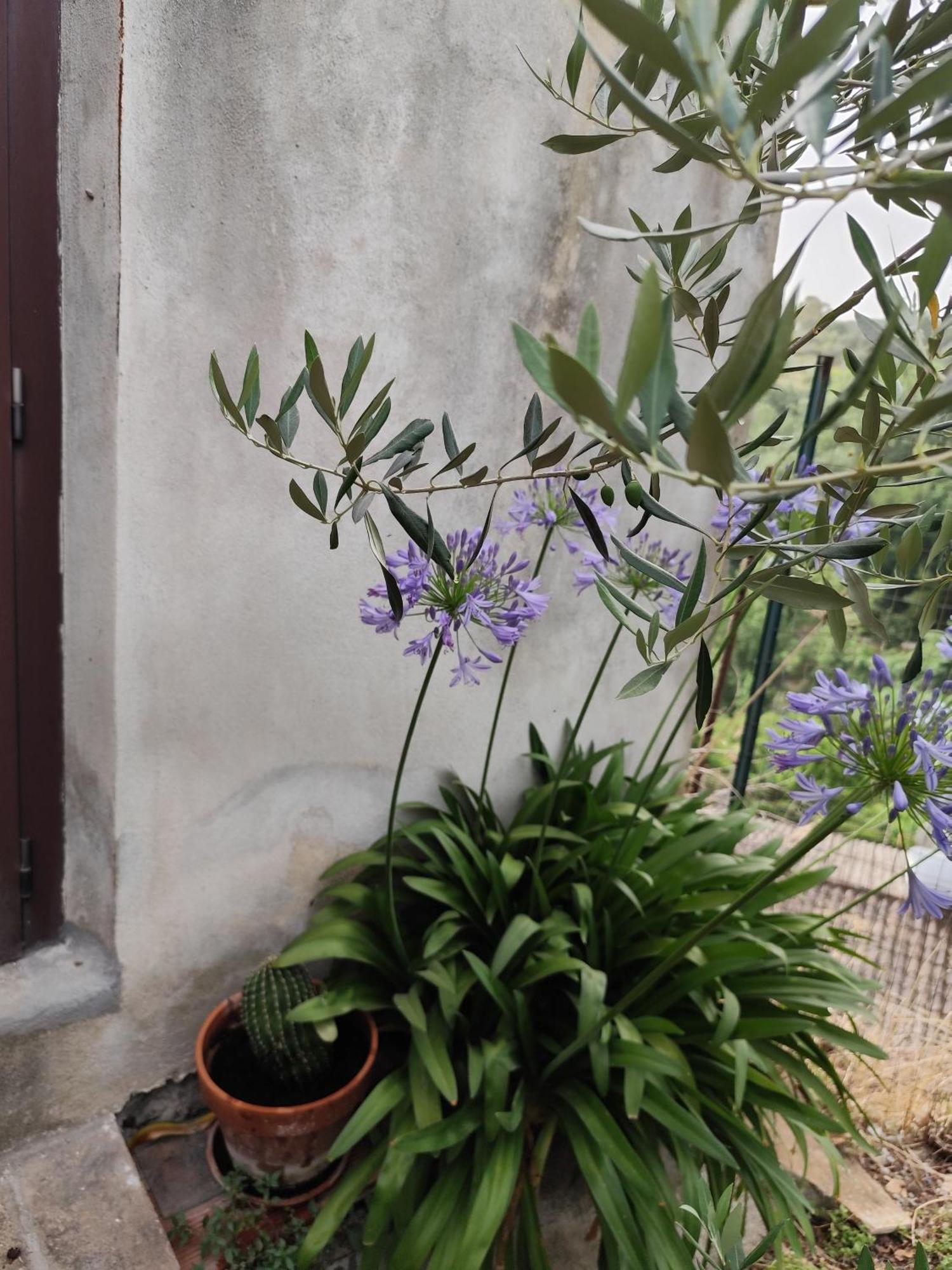 Casa In Antico Borgo Medievale A Tarano Ri, Via Giacomo Leopardi, 15 Villa Exterior foto